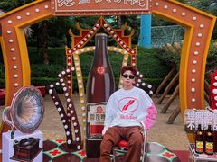 -七彩云南欢乐世界