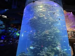 -泉城欧乐堡海洋极地世界