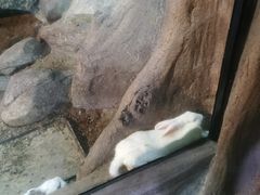 -苏州海洋馆