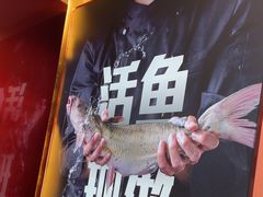 -老板恋上鱼(恒隆广场店)