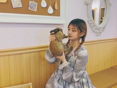 -猫猫幼稚园·撸猫·桌游·电玩