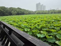 -高子水居