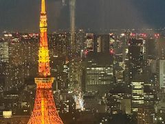 -六本木新城展望台(东京城市景观)