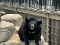 -石家庄市动物园