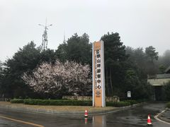 -铁山坪森林公园