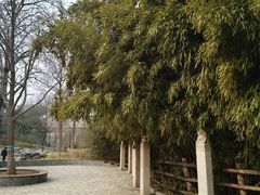 -丰台花园