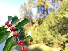 -北京张裕爱斐堡酒庄