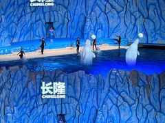 -珠海长隆海洋王国