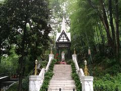 -上海佘山国家森林公园西佘山园