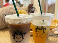 -楼上猫咖(罗湖店)
