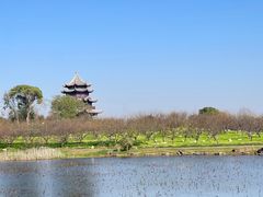 -上海海湾国家森林公园