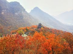 -狼牙山风景区