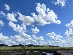 -乌兰布统草原