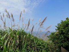 -嵊泗基湖沙滩