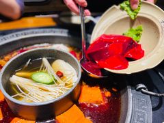 鲜鸭血-晓宇重庆火锅(龙首店)