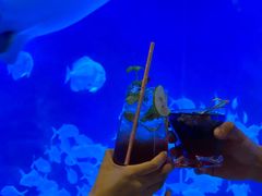 -烟台海昌鲸鲨海洋公园