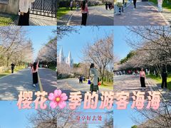 -团城山公园