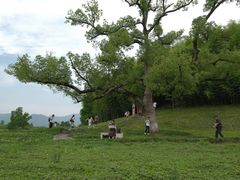 -良渚古城遗址公园