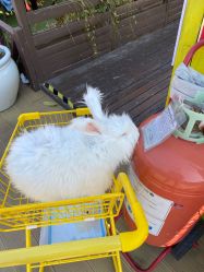 -小蜜蜂农场(凯德七宝购物广场店)