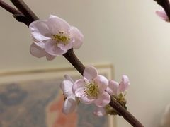 -盒马鲜生(新都心店)