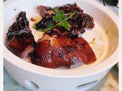 -佬肥猫(国华广场店)