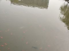 -廊坊文化艺术中心