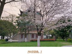 -东湖磨山景区