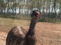 -南京金牛湖风景区