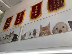 -爱侣宠医·鹦鹉专科·小型哺乳类·异宠专科(灵石路店)