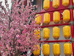 -绳金塔