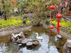 -青城甲(青城山店)