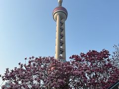 -东方明珠广播电视塔