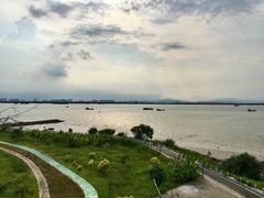 -芒洲湿地公园