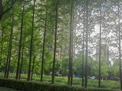 -诺贝尔湖公园