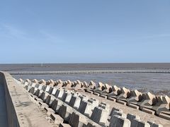 -南汇嘴观海公园