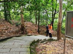-火炉山森林公园
