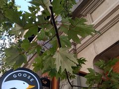 -Goose Island Brewhouse鹅岛精酿啤酒酿造工坊餐厅