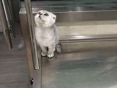 -暖阳宠物医院·犬猫康复中心·骨科
