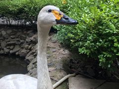 -燕塞湖鸟语林景区