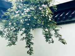 -龙华寺
