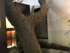 -悦真雅院·四合院·清真私房菜(雍和宫店)