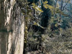 -中国铁路上海局集团有限公司杭州职工培训基地