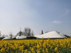 -中国天府农业博览园