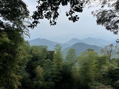 -莫干山风景区
