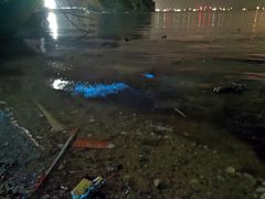 -坛南湾阿强农家乐.海鲜大排档老字号(福州地标美食店)