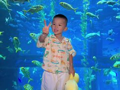-南昌融创海世界