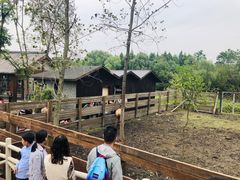 -溱湖国家湿地公园