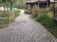 -溱湖国家湿地公园