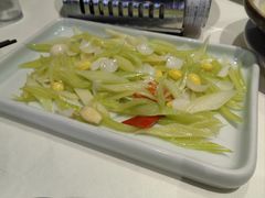 -丁老爷子苏香圆