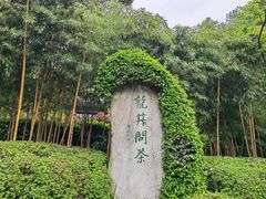 -十八棵（老龙井）御茶园(老龙井店)